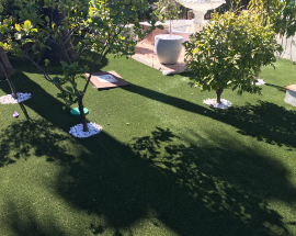 garden with grass laid around trees